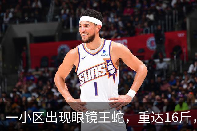一小区出现眼镜王蛇，重达16斤，就在居民窗外游走，消防：是世界上体型最大的前沟牙毒蛇