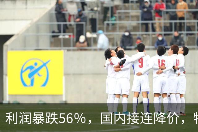 利润暴跌56％，国内接连降价，特斯拉的中国智驾何时兑现？
