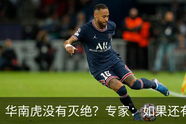华南虎没有灭绝？专家：如果还有，最可能在山西，不在广东福建