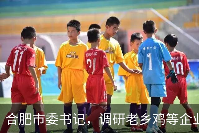 合肥市委书记，调研老乡鸡等企业