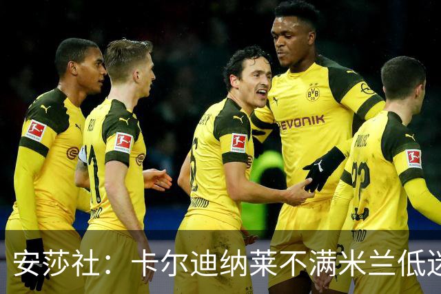 安莎社：卡尔迪纳莱不满米兰低迷，阿莫林被要求止跌