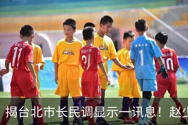 揭台北市长民调显示一讯息！赵少康揭2大可能：蓝营自己要检讨