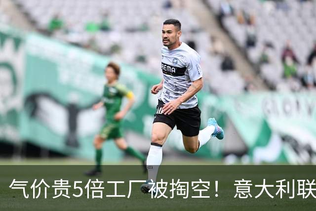气价贵5倍工厂被掏空！意大利联手多国发难：向冯德莱恩正式夺权