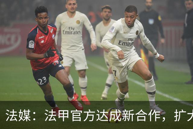 法媒：法甲官方达成新合作，扩大酒吧等公共场所转播