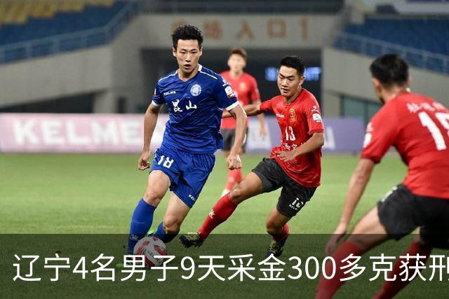辽宁4名男子9天采金300多克获刑，村里砂土为何能淘金？土法筛金对人体和环境有何危害？