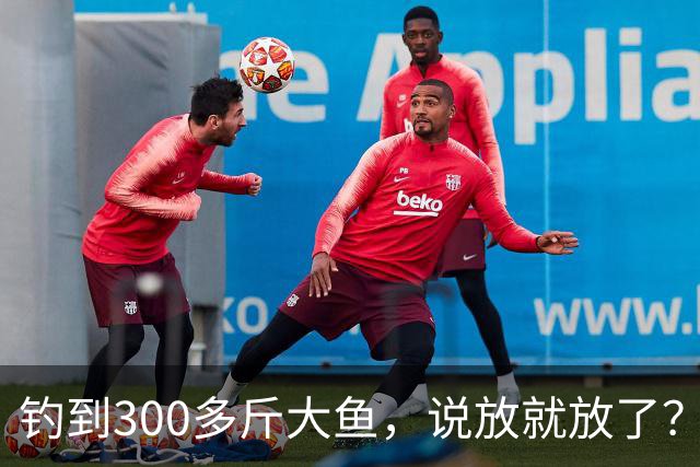 钓到300多斤大鱼，说放就放了？
