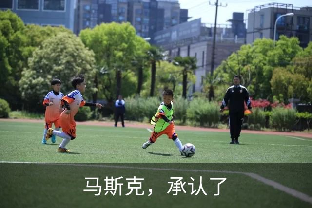 马斯克，承认了