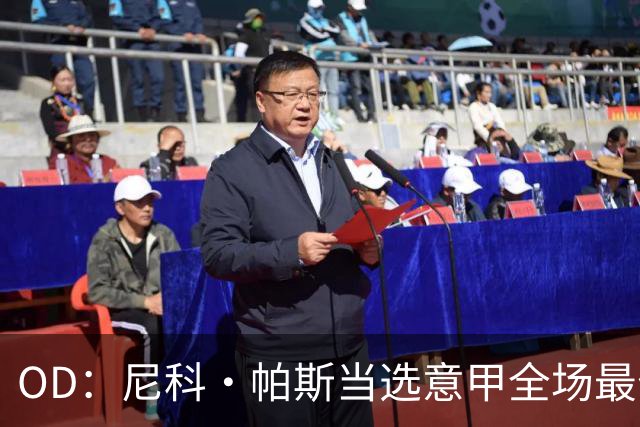 OD：尼科·帕斯当选意甲全场最佳，11场造11球